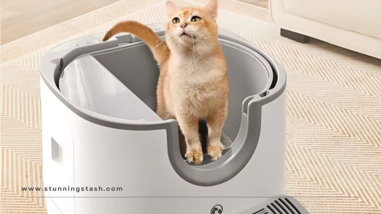 Purrfectly Clean: The Future of Cat Self-Cleaning Litter Boxes