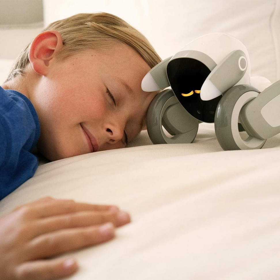 Interactive Smart Robot Dog Toy Advanced Technologies Best Deals Set : Full Set Interactive Smart Robot Dog Toy Advanced Technologies Best Deals Set : Full Set