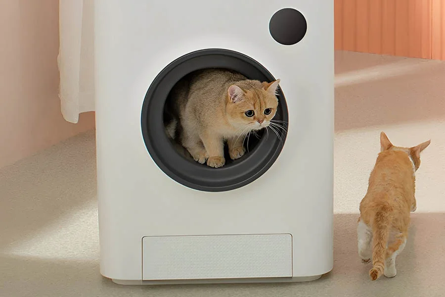 cat self cleaning litter